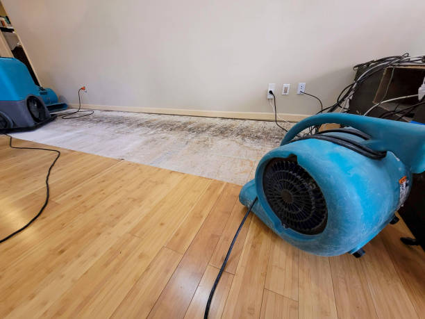 Professional Emergency Water Damage technician working in Enfield, NC